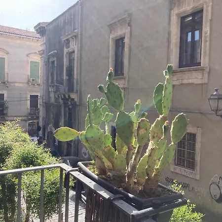Aita Domus Apartment Catania Exterior photo