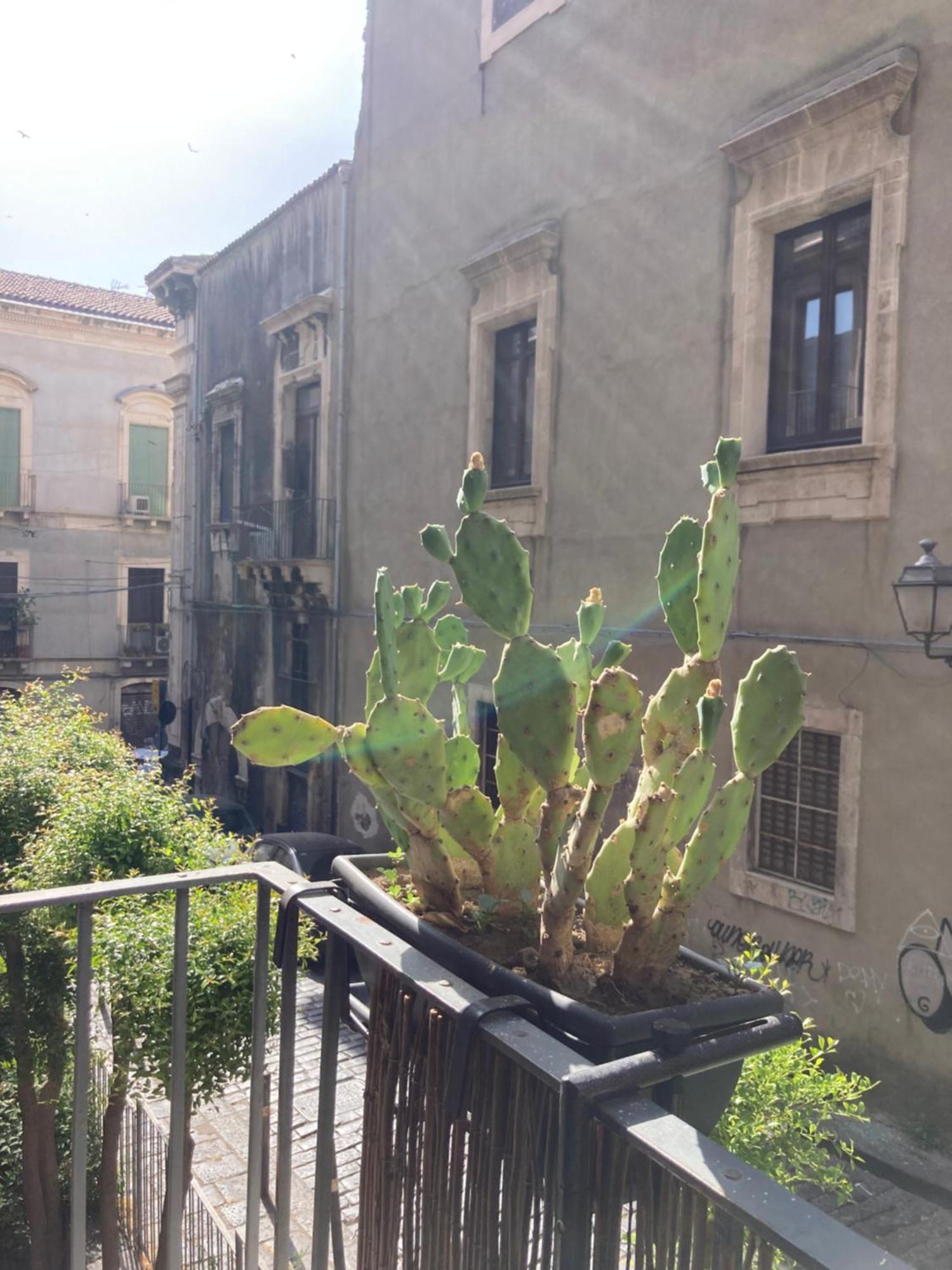 Aita Domus Apartment